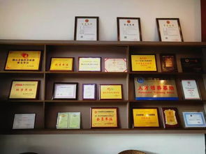 中越股份 企業一站式服務專家，引領計算機信息化時代